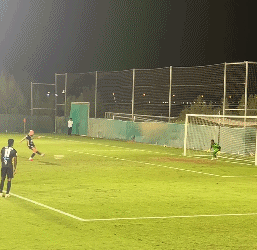 cj, 不到钱, 阿拉伯猎鹰