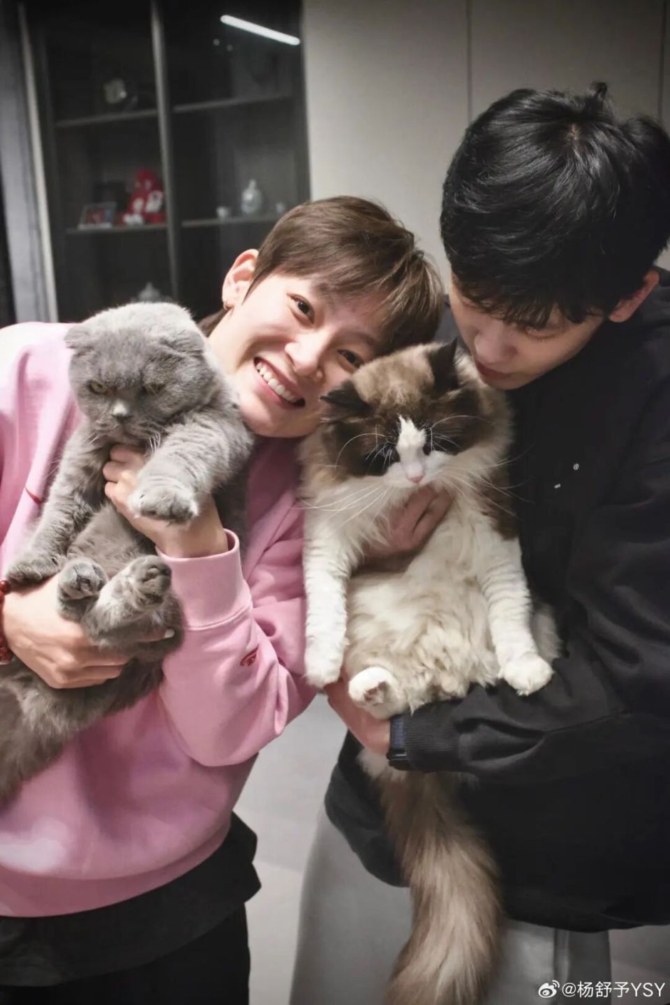 妥善处理好 妥善处理好