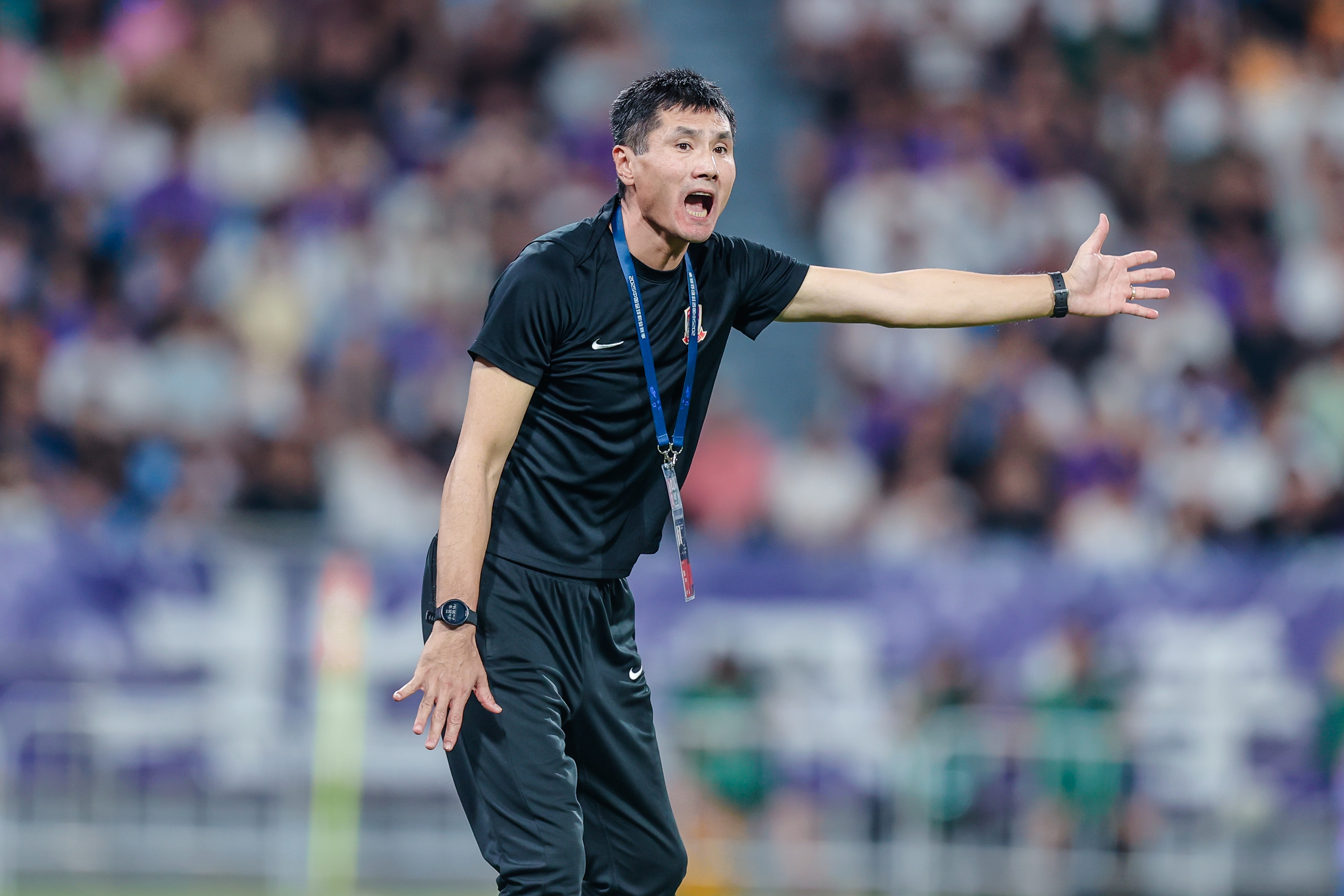 span, 更高水平, 析师